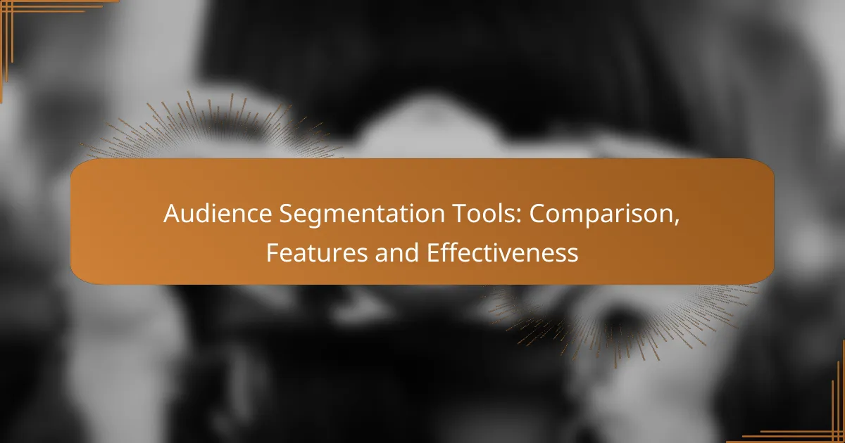 Audience Segmentation Tools: Comparison, Features and Effectiveness