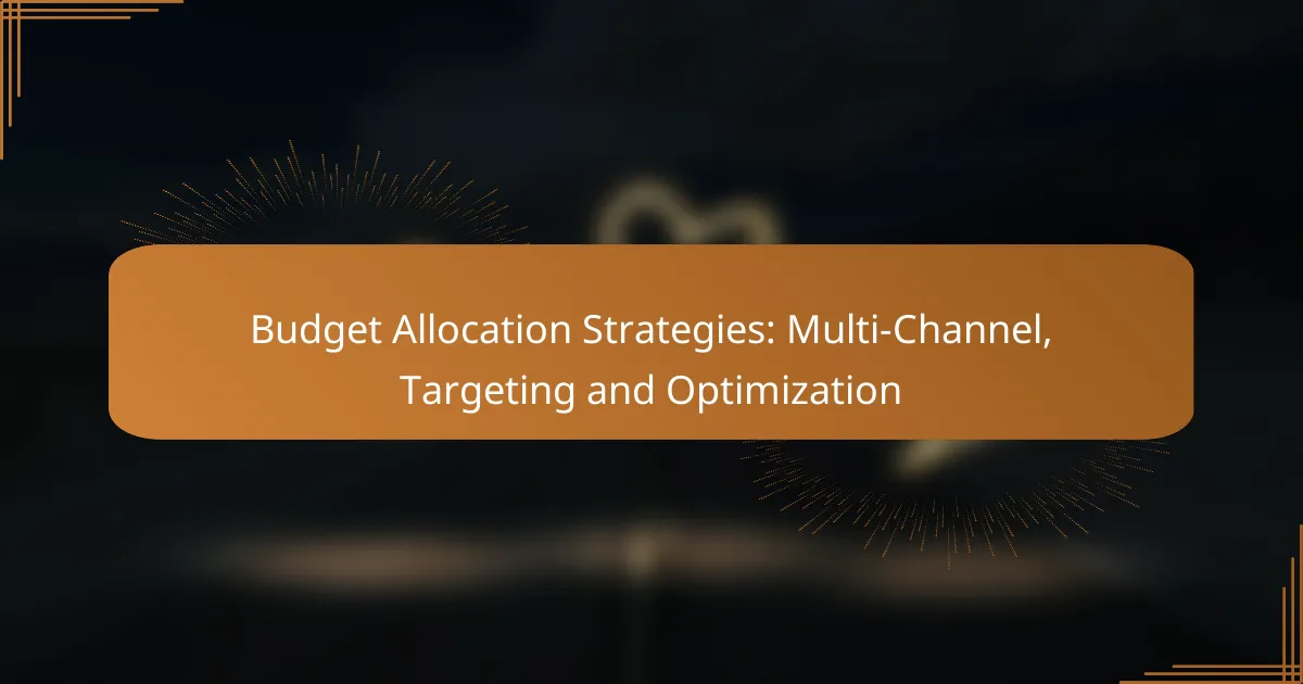 Budget Allocation Strategies: Multi-Channel, Targeting and Optimization