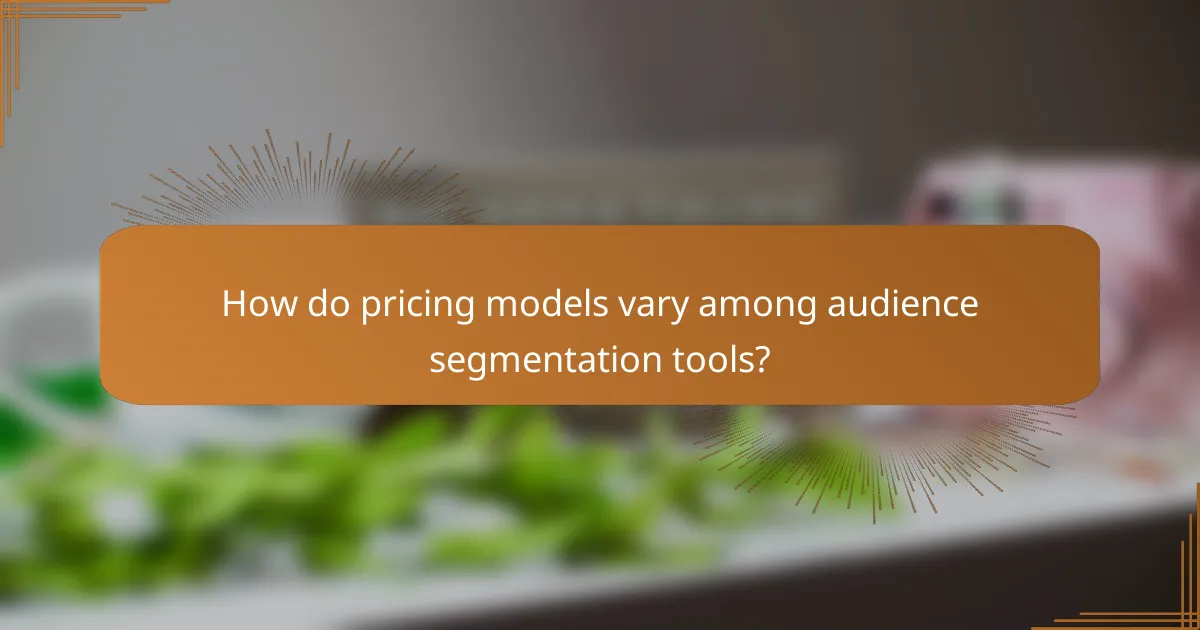 How do pricing models vary among audience segmentation tools?