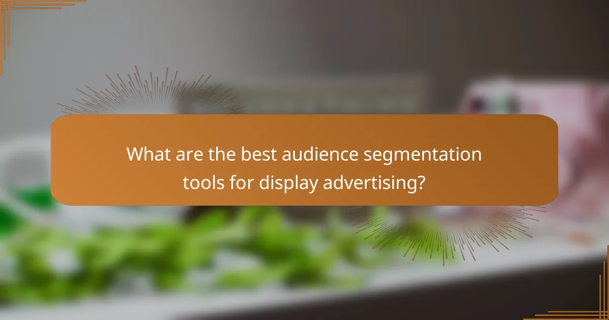 What are the best audience segmentation tools for display advertising?