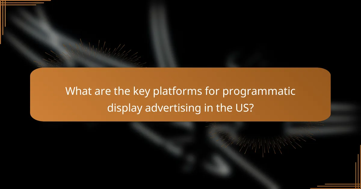 What are the key platforms for programmatic display advertising in the US?