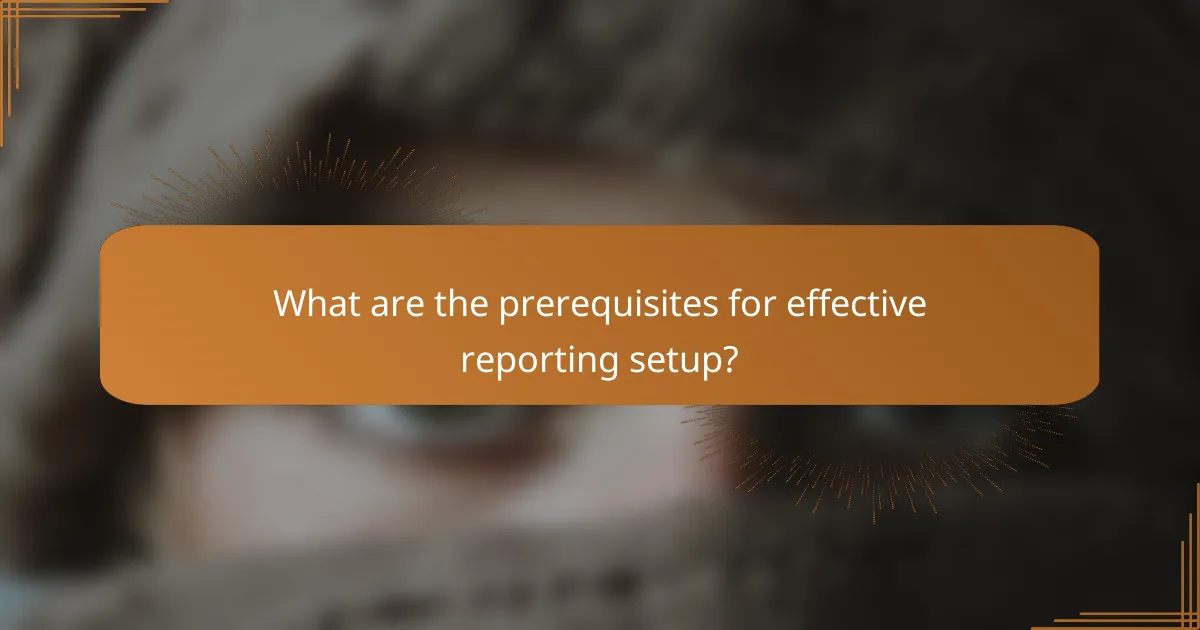 What are the prerequisites for effective reporting setup?